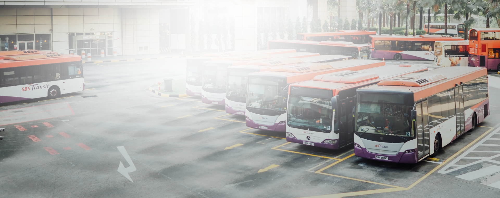 Big Fleet